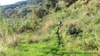 nte Scuderi-23-11-2014 09-45-50